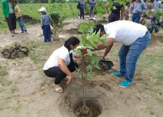 World Environment Day Celebration